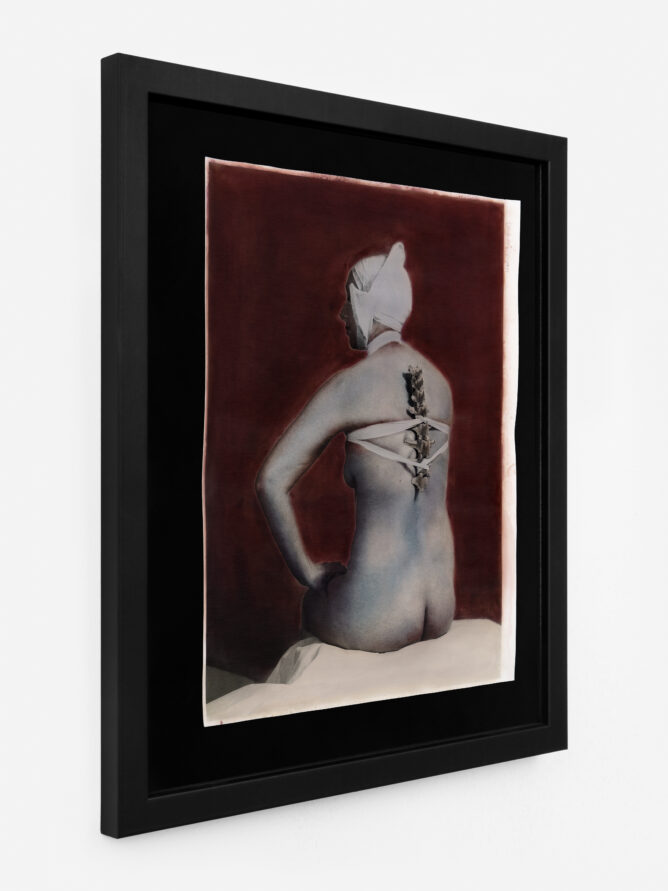 Untitled (Sheep Spine), 2024. On Being Forced To Take My Medicine. Hand-coloured silver gelatine print, and 10″ x 8″, edition I.