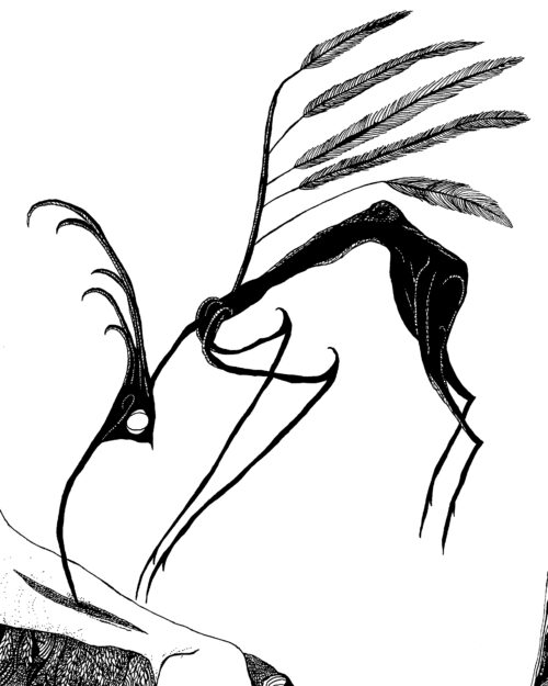 Katie Eleanor, Faerie VII (Feast I), 2025. Ink on paper.